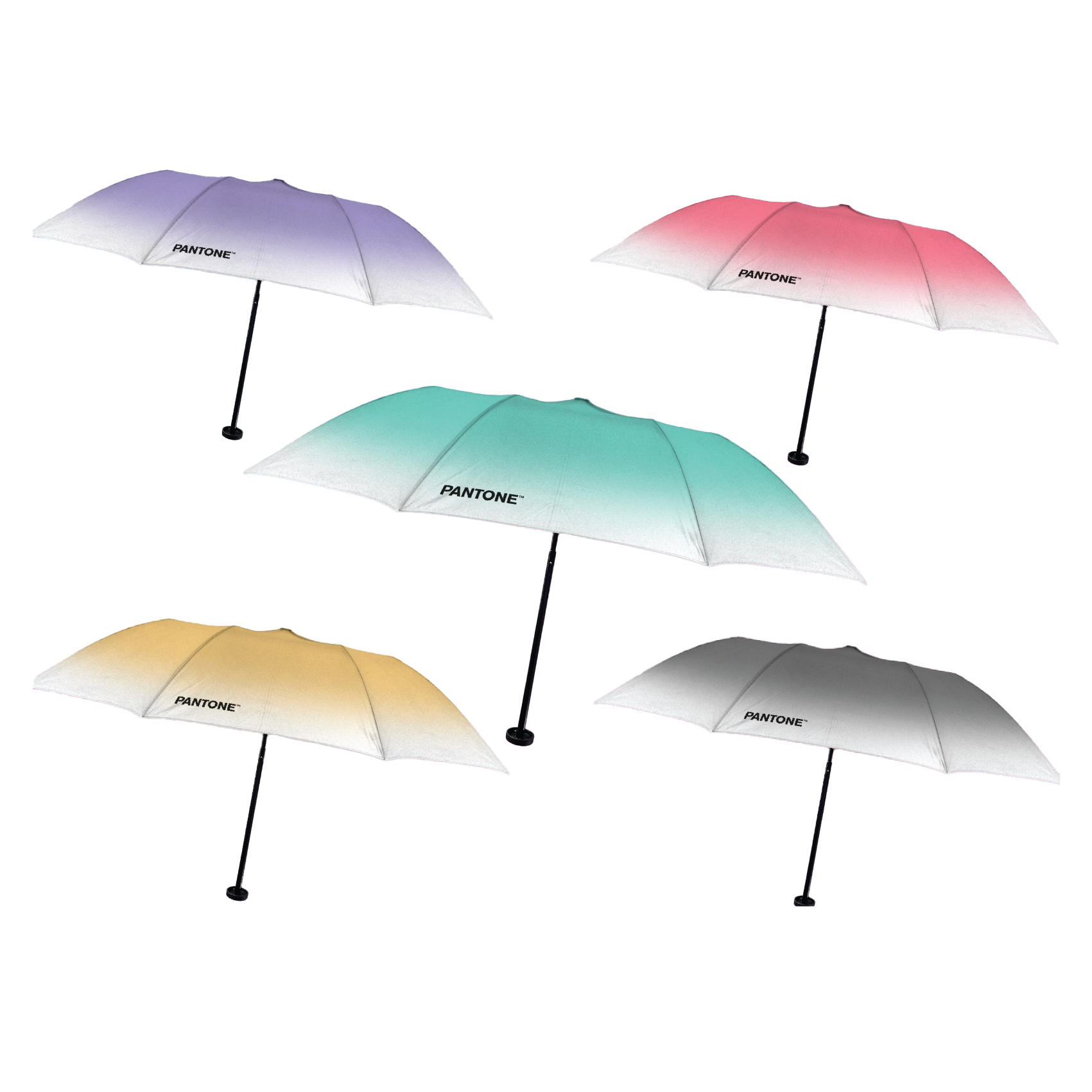 Pantone Umbrella 顏色雨傘