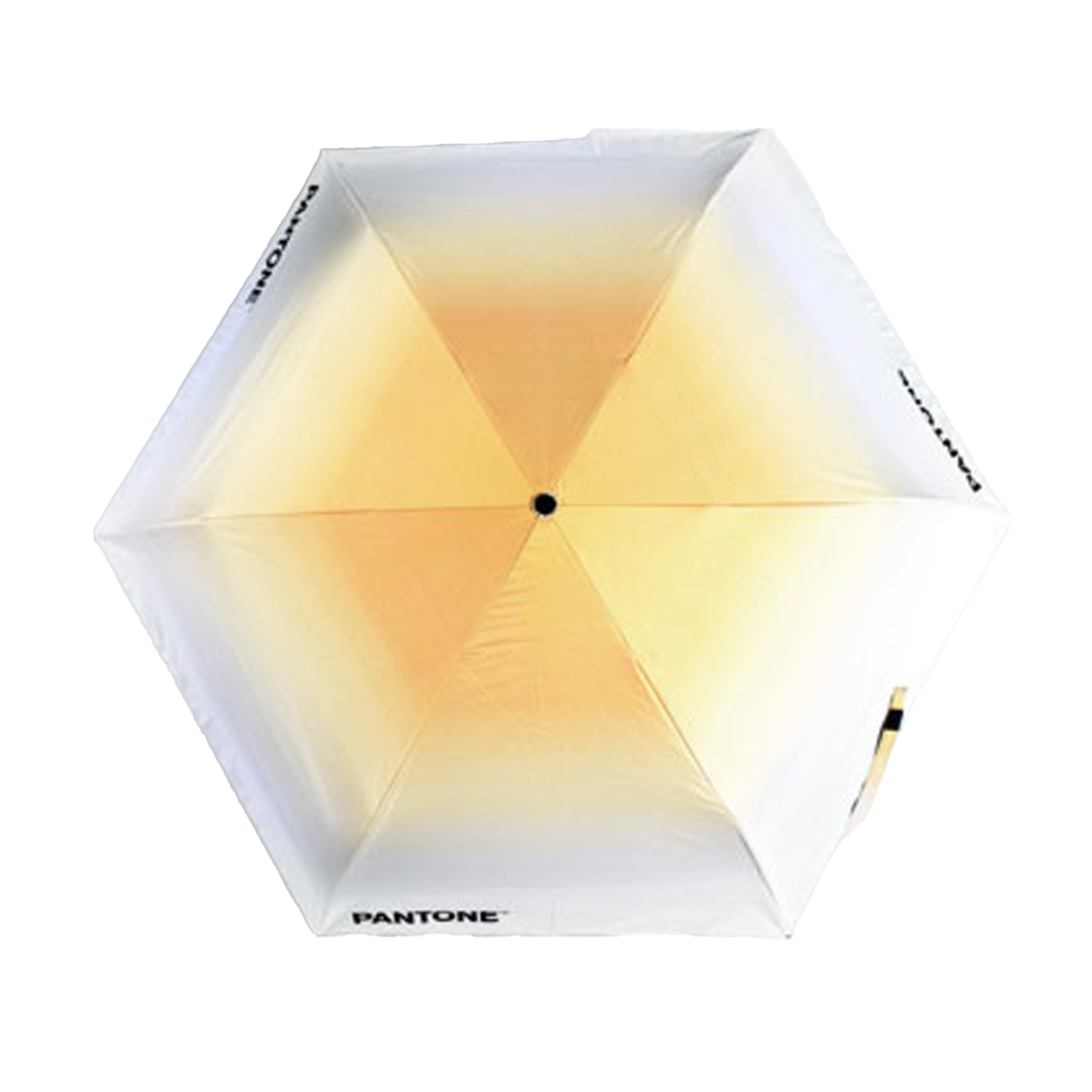 Pantone Umbrella 顏色雨傘
