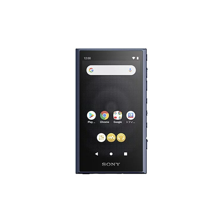 Sony A300 Walkman A 系列可攜式音樂播放器 NW-A306【香港行貨】