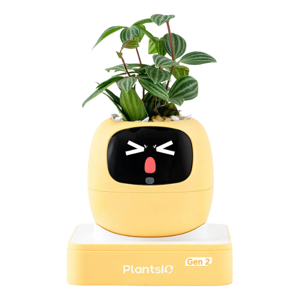 PLANTSIO Ivy Gen 2 智能盆栽【原裝行貨】