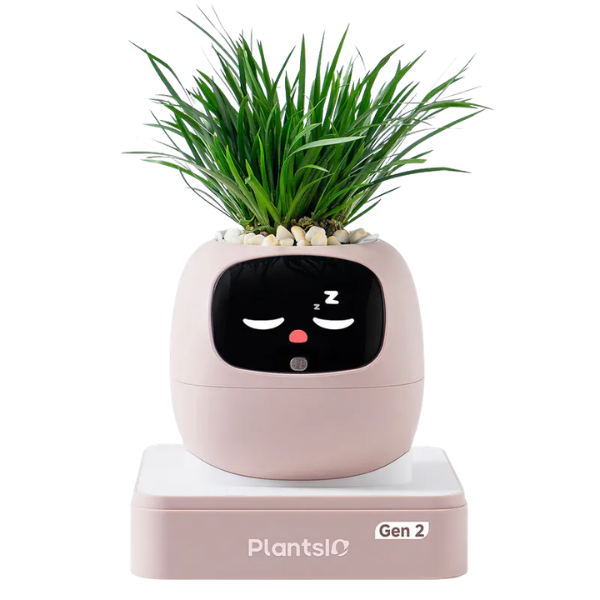 PLANTSIO Ivy Gen 2 智能盆栽【原裝行貨】