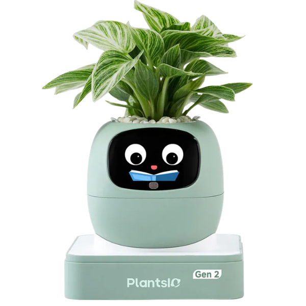 PLANTSIO Ivy Gen 2 智能盆栽【原裝行貨】