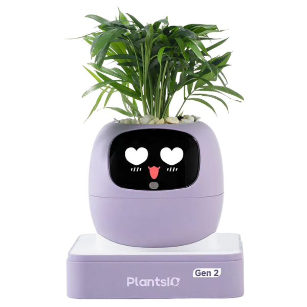PLANTSIO Ivy Gen 2 智能盆栽【原裝行貨】